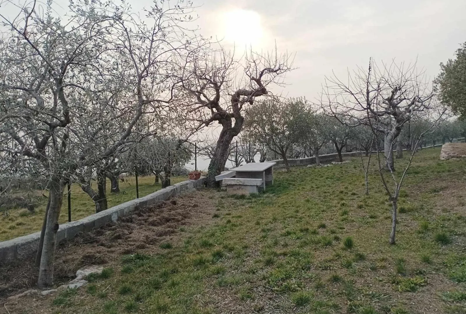 SantʼAmbrogio di Valpolicella Dimora Montelago - Apartment Roby